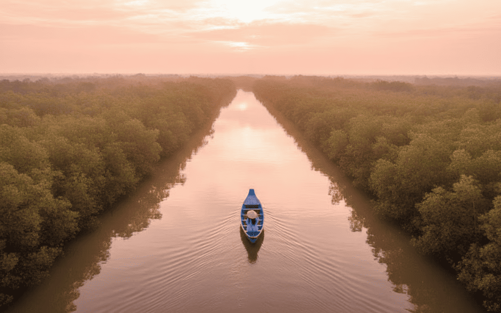 Check-in Vườn Quốc gia Mũi C&agrave; Mau